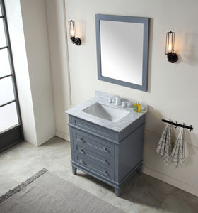 Wineck 30 in. W x 35 in. H Bathroom Bath Vanity Set in Rich Gray